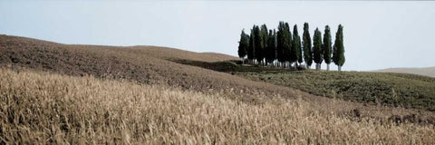 Val dÃ¢â‚¬â„¢Orcia Pano - 3 Black Ornate Wood Framed Art Print with Double Matting by Blaustein, Alan