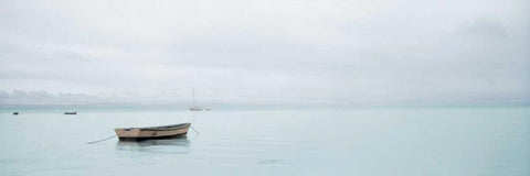 Lago Vista - 26 Black Ornate Wood Framed Art Print with Double Matting by Blaustein, Alan