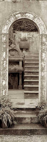 Lombardy - 5 White Modern Wood Framed Art Print with Double Matting by Blaustein, Alan