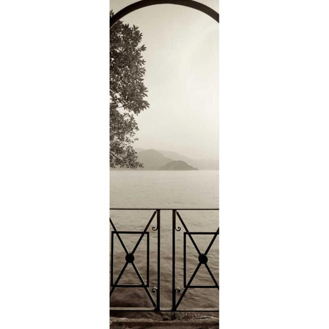 Lombardy - 6 Black Modern Wood Framed Art Print with Double Matting by Blaustein, Alan