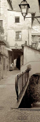 Lombardy - 3 Black Ornate Wood Framed Art Print with Double Matting by Blaustein, Alan