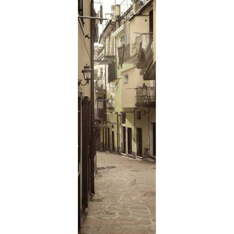 Liguria - 6 Gold Ornate Wood Framed Art Print with Double Matting by Blaustein, Alan