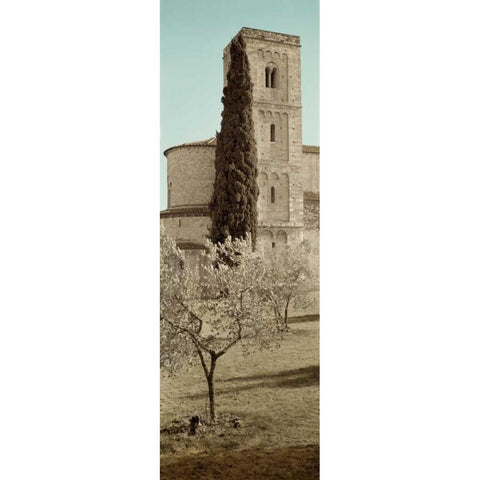 Tuscany - 16 White Modern Wood Framed Art Print by Blaustein, Alan