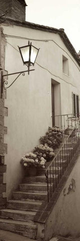 Tuscany - 2 White Modern Wood Framed Art Print with Double Matting by Blaustein, Alan