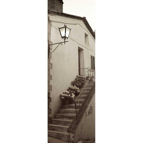 Tuscany - 2 Black Modern Wood Framed Art Print with Double Matting by Blaustein, Alan