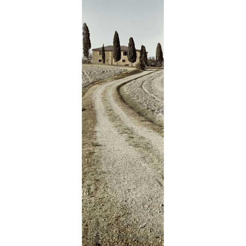 Tuscany - 17 White Modern Wood Framed Art Print by Blaustein, Alan