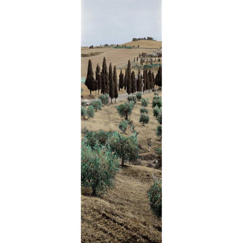 Tuscany - 13 Black Modern Wood Framed Art Print by Blaustein, Alan