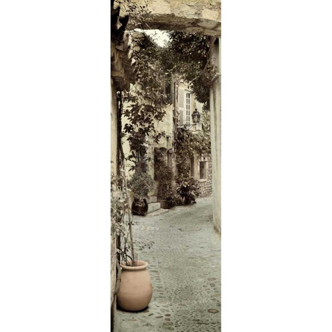 St Paolo - 1 Gold Ornate Wood Framed Art Print with Double Matting by Blaustein, Alan