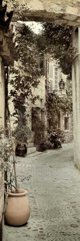 St Paolo - 1 Black Ornate Wood Framed Art Print with Double Matting by Blaustein, Alan