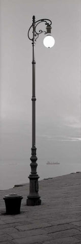 Treiste - 1 Black Ornate Wood Framed Art Print with Double Matting by Blaustein, Alan