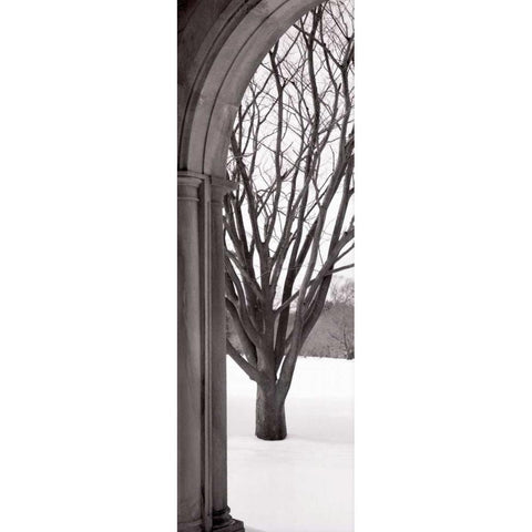 Hampton Winter Arch Black Modern Wood Framed Art Print with Double Matting by Blaustein, Alan