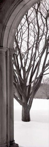 Hampton Winter Arch Black Ornate Wood Framed Art Print with Double Matting by Blaustein, Alan