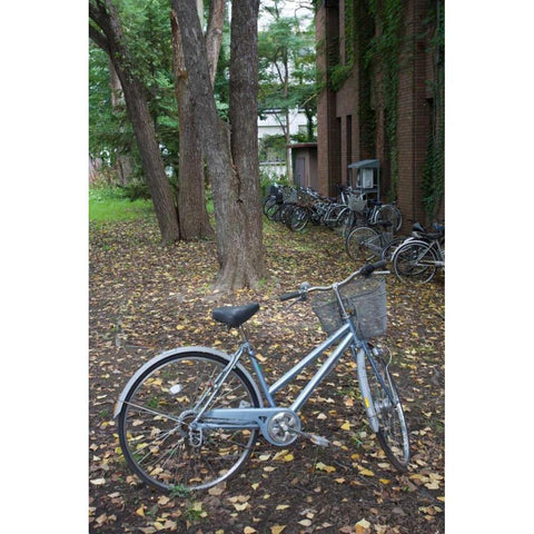 Japan Bicycle - 11 White Modern Wood Framed Art Print by Blaustein, Alan