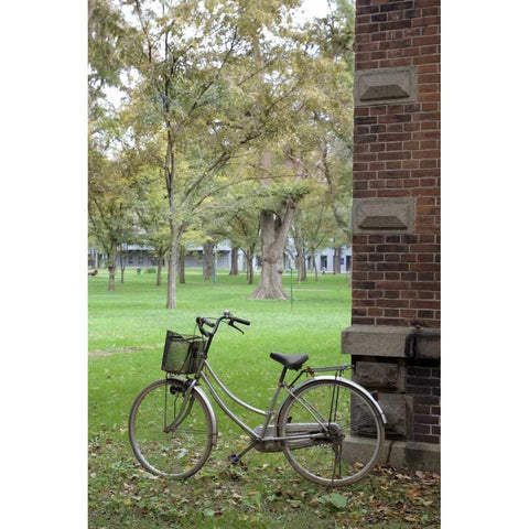 Japan Bicycle - 13 Gold Ornate Wood Framed Art Print with Double Matting by Blaustein, Alan