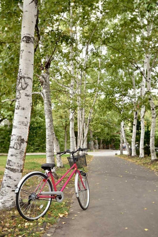 Japan Bicycle - 20 White Modern Wood Framed Art Print with Double Matting by Blaustein, Alan