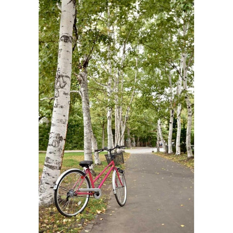 Japan Bicycle - 20 White Modern Wood Framed Art Print by Blaustein, Alan