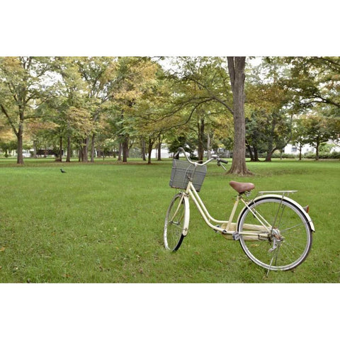 Japan Bicycle - 21 White Modern Wood Framed Art Print by Blaustein, Alan