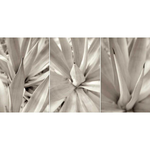 Floral Panel - 4 White Modern Wood Framed Art Print by Blaustein, Alan