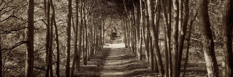 Hampton Gates Promenade - 2 Black Ornate Wood Framed Art Print with Double Matting by Blaustein, Alan
