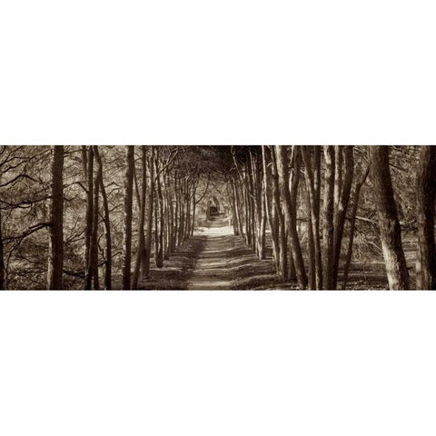 Hampton Gates Promenade - 2 Black Modern Wood Framed Art Print by Blaustein, Alan