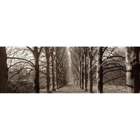 Hampton Gates Promenade - 1 Black Modern Wood Framed Art Print by Blaustein, Alan