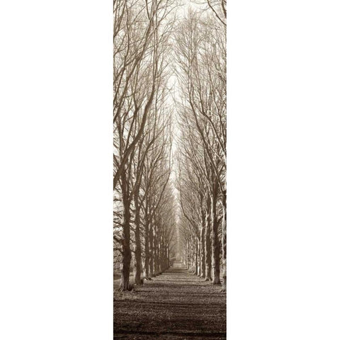 Hampton Gates Promenade Gold Ornate Wood Framed Art Print with Double Matting by Blaustein, Alan