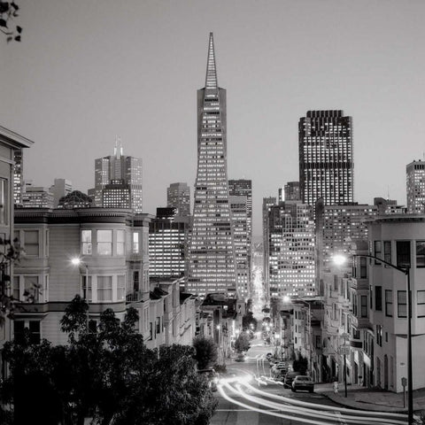 San Francisco Skyline - 1 Black Modern Wood Framed Art Print with Double Matting by Blaustein, Alan