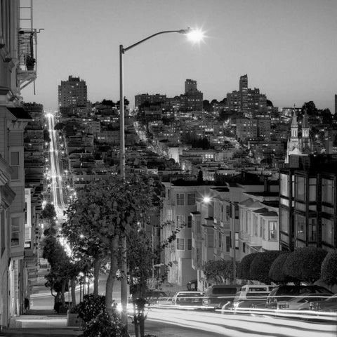 San Francisco Skyline - 2 White Modern Wood Framed Art Print by Blaustein, Alan