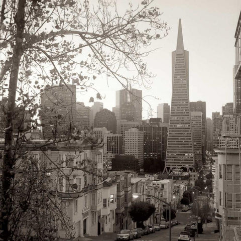 SF Skyline - 3 Gold Ornate Wood Framed Art Print with Double Matting by Blaustein, Alan