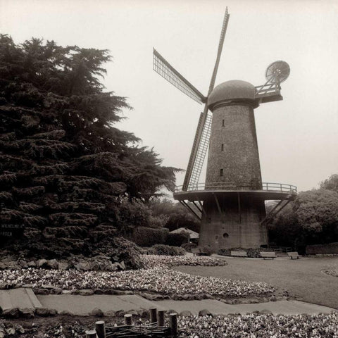 Golden Gate Park - 7 Black Modern Wood Framed Art Print with Double Matting by Blaustein, Alan