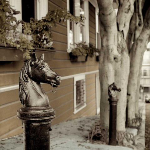 Hitching Post - 5 White Modern Wood Framed Art Print by Blaustein, Alan