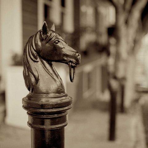 Hitching Post - 6 Black Modern Wood Framed Art Print by Blaustein, Alan