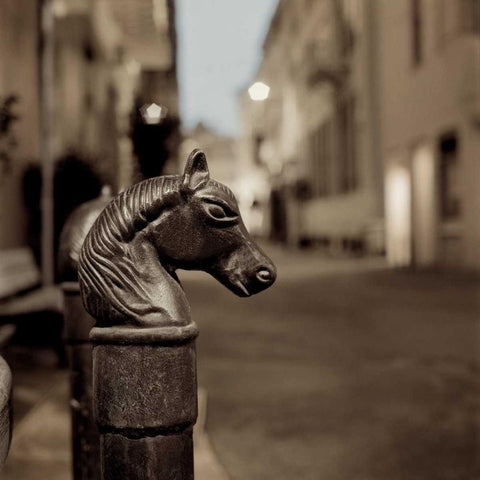 Hitching Post - 4 Black Modern Wood Framed Art Print by Blaustein, Alan