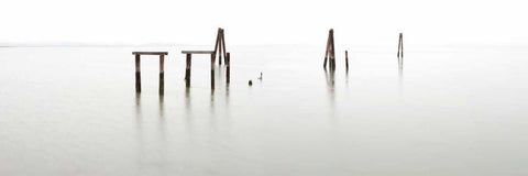 Antique Pier - 135 Black Ornate Wood Framed Art Print with Double Matting by Blaustein, Alan