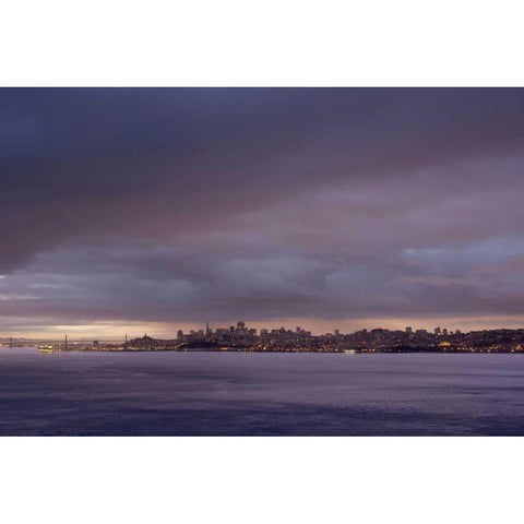 SF Skyline - 100 Black Modern Wood Framed Art Print by Blaustein, Alan