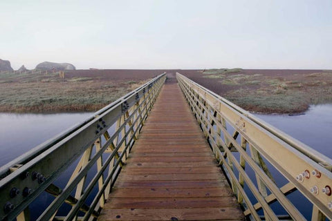 Lagoon Bridge - 1 Black Ornate Wood Framed Art Print with Double Matting by Blaustein, Alan