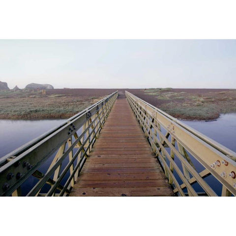 Lagoon Bridge - 1 Black Modern Wood Framed Art Print with Double Matting by Blaustein, Alan