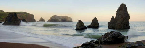 Rodeo Beach pano - 1 Black Ornate Wood Framed Art Print with Double Matting by Blaustein, Alan