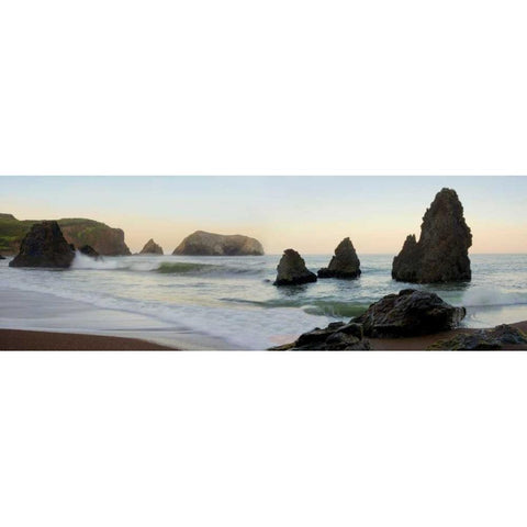 Rodeo Beach pano - 1 Gold Ornate Wood Framed Art Print with Double Matting by Blaustein, Alan