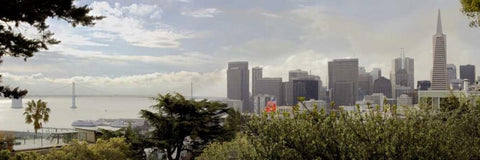 SF Skyline Pano - 110 Black Ornate Wood Framed Art Print with Double Matting by Blaustein, Alan