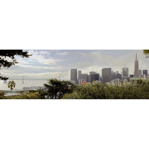 SF Skyline Pano - 110 Black Modern Wood Framed Art Print with Double Matting by Blaustein, Alan