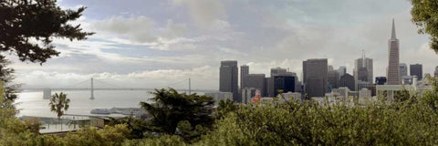 SF Skyline Pano - 109 Black Ornate Wood Framed Art Print with Double Matting by Blaustein, Alan