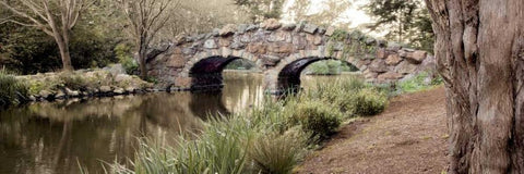 Golden Gate Park - 10 Black Ornate Wood Framed Art Print with Double Matting by Blaustein, Alan