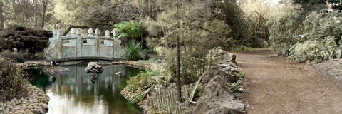 Golden Gate Park - 11 Black Ornate Wood Framed Art Print with Double Matting by Blaustein, Alan