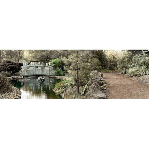 Golden Gate Park - 11 Black Modern Wood Framed Art Print with Double Matting by Blaustein, Alan