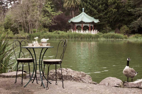 Dream Cafe Stow Lake - 47 White Modern Wood Framed Art Print with Double Matting by Blaustein, Alan