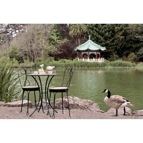Dream Cafe Stow Lake - 48 Black Modern Wood Framed Art Print with Double Matting by Blaustein, Alan