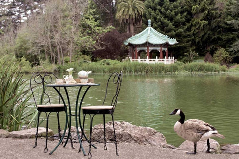 Dream Cafe Stow Lake - 48 Black Ornate Wood Framed Art Print with Double Matting by Blaustein, Alan