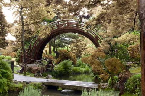 Japanese Bridge - 1 White Modern Wood Framed Art Print with Double Matting by Blaustein, Alan