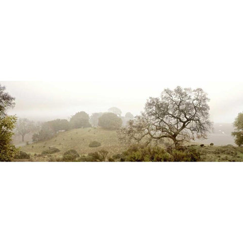 Pano Version 4 White Modern Wood Framed Art Print by Blaustein, Alan